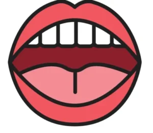 영어 wh 발음 규칙 요약표